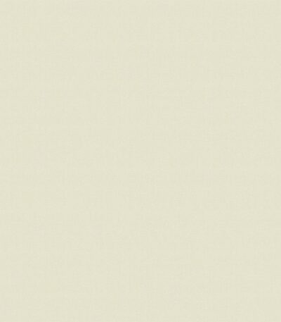 Giấy Dán Tường Giá Rẻ Albany 6813-4