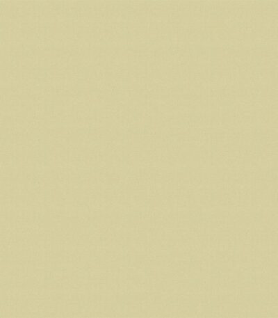 Giấy Dán Tường Giá Rẻ Albany 6813-5