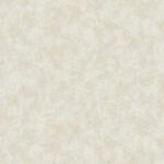 Giấy Dán Tường Giá Rẻ Hot Style II 6504-2