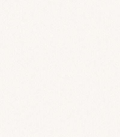 Giấy Dán Tường Giá Rẻ Hot Style II 6514-1