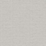 Giấy Dán Tường Giá Rẻ Razan 2621