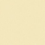 Giấy Dán Tường Giá Rẻ Rofy 1117-4