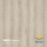 Sàn Gỗ Công Nghiệp Robina 8mm Bản Lớn TWS221