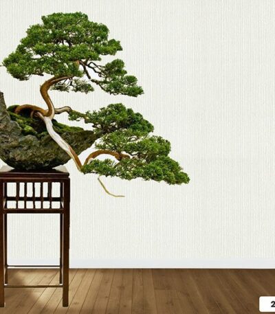 Vải Sợi Thủy Tinh Dán Tường Harmony Classic 2041