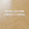 Banner Sàn Gỗ Dream Lucky 8mm Categories Product
