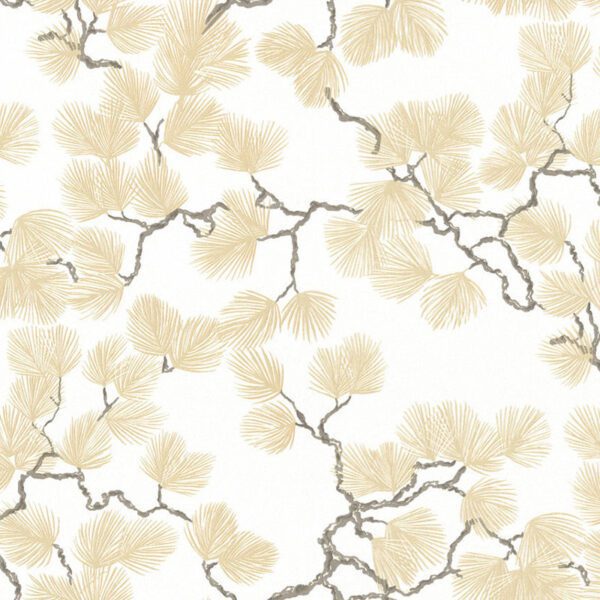 Giấy Dán Tường Giá Rẻ Albany 6801-1