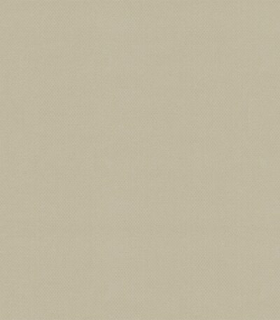 Giấy Dán Tường Giá Rẻ Albany 6810-4