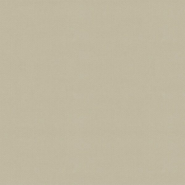 Giấy Dán Tường Giá Rẻ Albany 6810-4