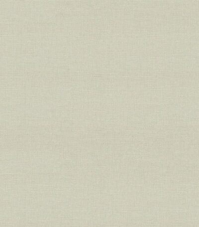 Giấy Dán Tường Giá Rẻ Albany 6811-2