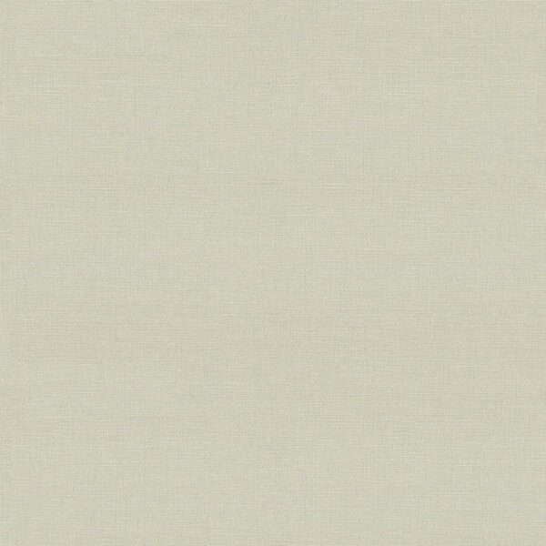 Giấy Dán Tường Giá Rẻ Albany 6811-2