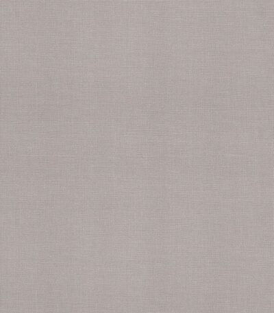 Giấy Dán Tường Giá Rẻ Albany 6811-3