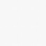 Giấy Dán Tường Giá Rẻ Albany 6813-1