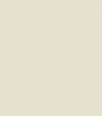 Giấy Dán Tường Giá Rẻ Albany 6813-4