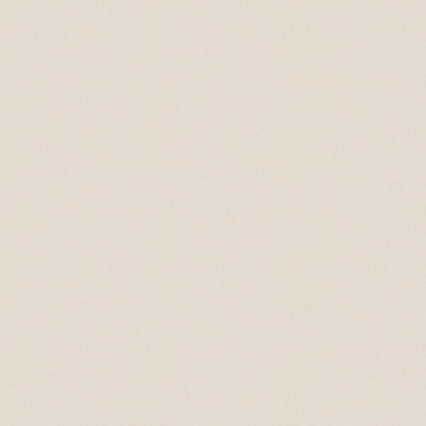 Giấy Dán Tường Giá Rẻ Albany 6831-5