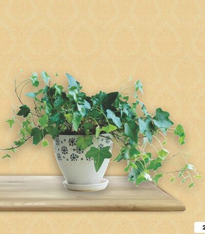 Vải Sợi Thủy Tinh Dán Tường Harmony Classic 2008