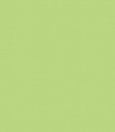 Giấy Dán Tường Hàn Quốc Trẻ Em Dream World 5156-4