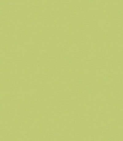 Giấy Dán Tường Hàn Quốc Trẻ Em Dream World 5156-5