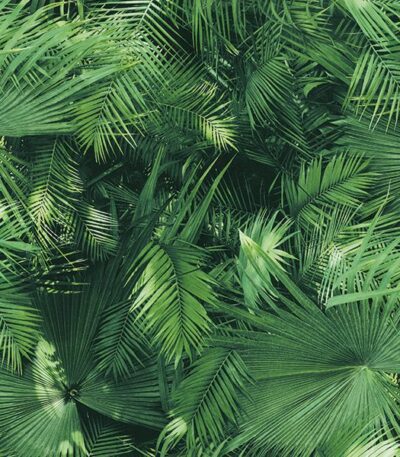 Giấy dán tường Hàn Quốc Galaxy 7833-1