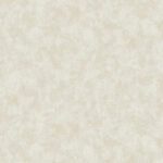 Giấy Dán Tường Giá Rẻ Hot Style II 6504-2