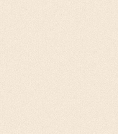 Giấy Dán Tường Giá Rẻ Hot Style II 6514-2