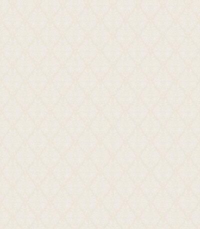 Giấy Dán Tường Giá Rẻ Hot Style II 6517-1