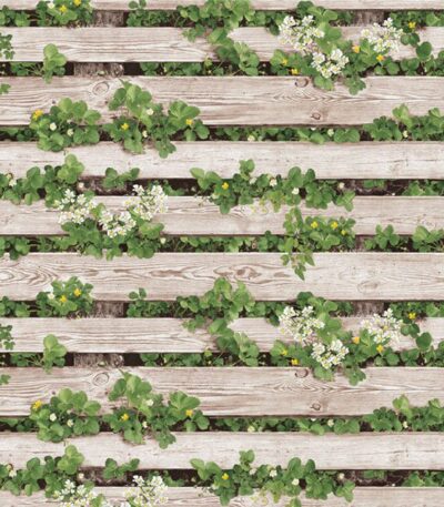 Giấy Dán Tường Hàn Quốc Natural 87020-1