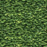 Giấy Dán Tường Hàn Quốc Natural 88422-1