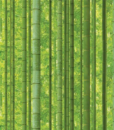 Giấy Dán Tường Hàn Quốc Natural 88423-1