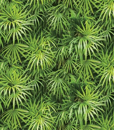 Giấy Dán Tường Hàn Quốc Natural 88425-1