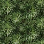 Giấy Dán Tường Hàn Quốc Natural 88425-2