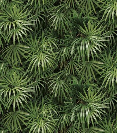 Giấy Dán Tường Hàn Quốc Natural 88425-2