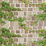 Giấy Dán Tường Hàn Quốc Natural 88428-1