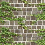 Giấy Dán Tường Hàn Quốc Natural 88428-2