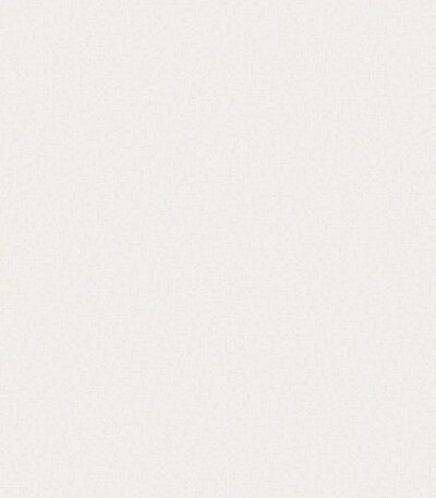 Giấy Dán Tường Giá Rẻ Rofy 1105-5