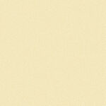 Giấy Dán Tường Giá Rẻ Rofy 1117-4