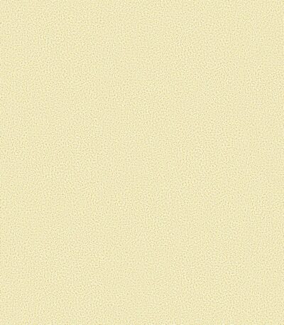 Giấy Dán Tường Giá Rẻ Rofy 1117-4