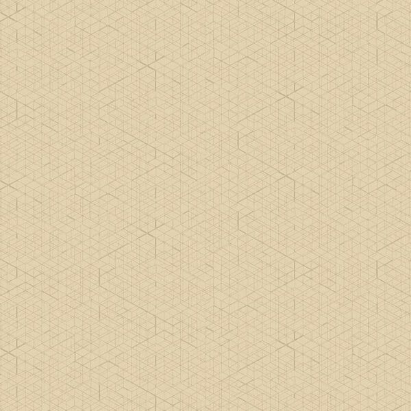 Giấy Dán Tường Giá Rẻ The 1060 6209-2