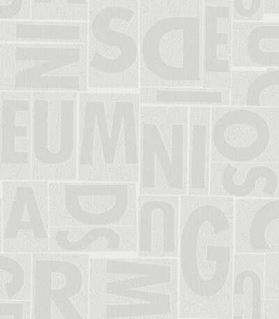 Giấy Dán Tường Giá Rẻ The 1060 6214-2