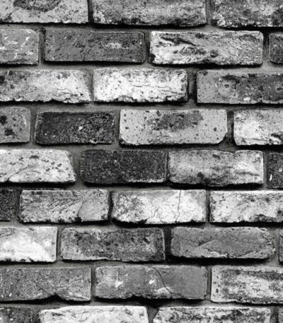 Giấy Dán Tường Giá Rẻ The 1060 6222-1