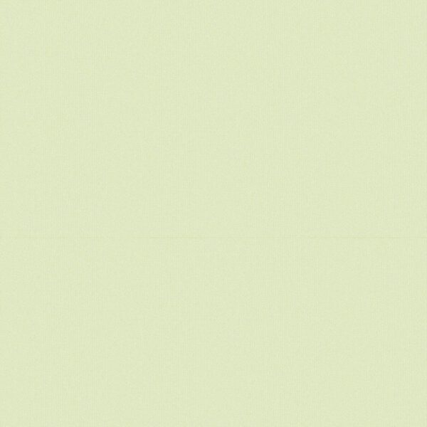 Giấy Dán Tường Hàn Quốc The View 3006-5