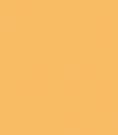 Giấy Dán Tường Hàn Quốc The View 3009-13