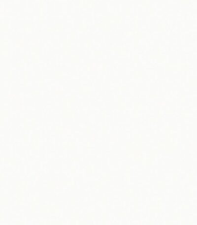 Giấy Dán Tường Hàn Quốc The View 3009-3