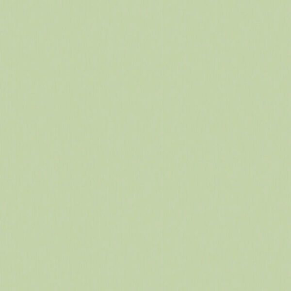 Giấy Dán Tường Hàn Quốc The View 3018-5