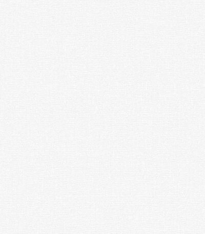 Giấy Dán Tường Giá Rẻ The View TWall 2024 9801-1