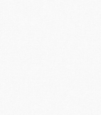 Giấy Dán Tường Giá Rẻ The View TWall 2024 9801-6