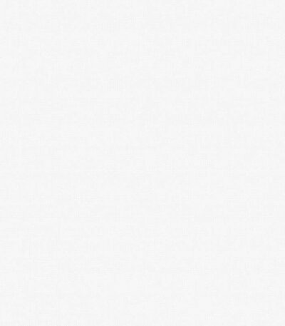 Giấy Dán Tường Giá Rẻ The View TWall 2024 9803-1