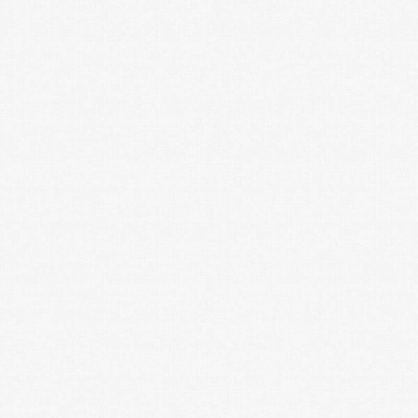 Giấy Dán Tường Giá Rẻ The View TWall 2024 9803-1