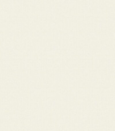 Giấy Dán Tường Giá Rẻ The View TWall 2024 9803-2