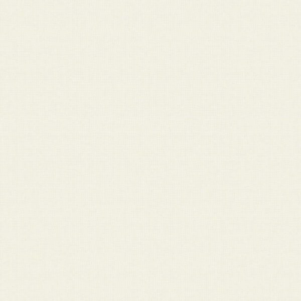 Giấy Dán Tường Giá Rẻ The View TWall 2024 9803-2