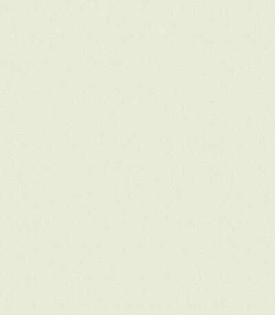 Giấy Dán Tường Giá Rẻ The View TWall 2024 9806-2